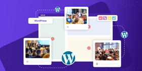 Видео splash страница в Wordpress
